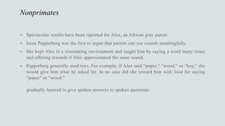 Nonprimates





 