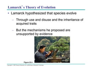 Lamarck’s Theory of Evolution
•  Lamarck hypothesized that species evolve
–  Through use and disuse and the inheritance of
acquired traits
–  But the mechanisms he proposed are
unsupported by evidence

Figure 22.4
Copyright © 2005 Pearson Education, Inc. publishing as Benjamin Cummings

 