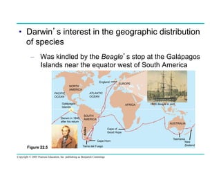 •  Darwin’s interest in the geographic distribution
of species
–  Was kindled by the Beagle’s stop at the Galápagos
Islands near the equator west of South America
England
NORTH
AMERICA

EUROPE

ATLANTIC
OCEAN

PACIFIC
OCEAN
Galápagos
Islands

AUSTRALIA
Cape of
Good Hope
Cape Horn

Figure 22.5

HMS Beagle in port

SOUTH
AMERICA
Andes

Darwin in 1840,
after his return

AFRICA

Tierra del Fuego

Copyright © 2005 Pearson Education, Inc. publishing as Benjamin Cummings

Tasmania
New
Zealand

 