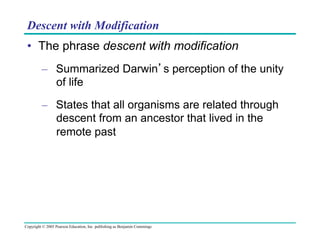 Descent with Modification
•  The phrase descent with modification
–  Summarized Darwin’s perception of the unity
of life
–  States that all organisms are related through
descent from an ancestor that lived in the
remote past

Copyright © 2005 Pearson Education, Inc. publishing as Benjamin Cummings

 