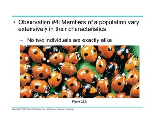 •  Observation #4: Members of a population vary
extensively in their characteristics
–  No two individuals are exactly alike

Figure 22.9
Copyright © 2005 Pearson Education, Inc. publishing as Benjamin Cummings

 