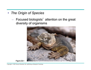•  The Origin of Species
–  Focused biologists’ attention on the great
diversity of organisms

Figure 22.1
Copyright © 2005 Pearson Education, Inc. publishing as Benjamin Cummings

 