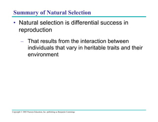 Summary of Natural Selection
•  Natural selection is differential success in
reproduction
–  That results from the interaction between
individuals that vary in heritable traits and their
environment

Copyright © 2005 Pearson Education, Inc. publishing as Benjamin Cummings

 