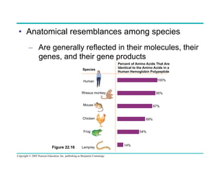 •  Anatomical resemblances among species
–  Are generally reflected in their molecules, their
genes, and their gene products
Species

Percent of Amino Acids That Are
Identical to the Amino Acids in a
Human Hemoglobin Polypeptide
100%

Human
Rhesus monkey

95%

Mouse

87%

Chicken

69%

Frog

Figure 22.16

Lamprey

Copyright © 2005 Pearson Education, Inc. publishing as Benjamin Cummings

54%

14%

 