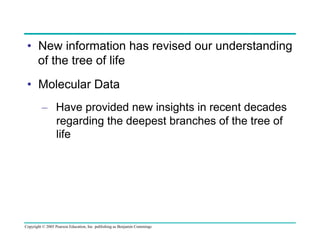•  New information has revised our understanding
of the tree of life
•  Molecular Data
–  Have provided new insights in recent decades
regarding the deepest branches of the tree of
life

Copyright © 2005 Pearson Education, Inc. publishing as Benjamin Cummings

 