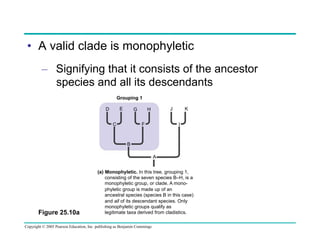 •  A valid clade is monophyletic
–  Signifying that it consists of the ancestor
species and all its descendants
Grouping 1
E

D

J

H

G
F

C

K
I

B
A

Figure 25.10a

(a) Monophyletic. In this tree, grouping 1,
consisting of the seven species B–H, is a
monophyletic group, or clade. A monophyletic group is made up of an
ancestral species (species B in this case)
and all of its descendant species. Only
monophyletic groups qualify as
legitimate taxa derived from cladistics.

Copyright © 2005 Pearson Education, Inc. publishing as Benjamin Cummings

 