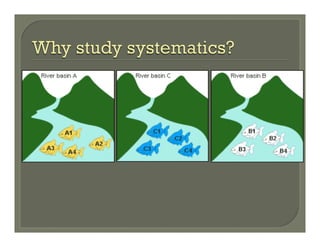 Evolution and systematics.ppt