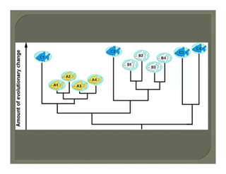 Evolution and systematics.ppt