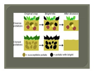 Evolution and systematics.ppt