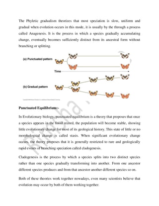 Evolution and theories of evolution | PDF