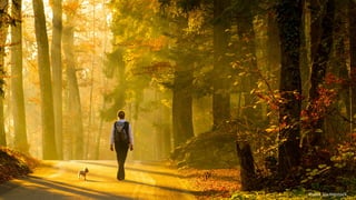 Så här ska det funka
 