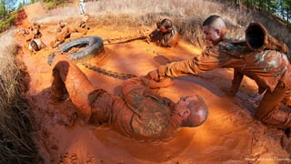 17Photo: Shutterstock
 