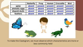 To make the Cladogram, we must observe which characteristics are more or
less commonly held
 