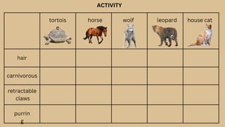ACTIVITY
hair
carnivorous
retractable
claws
purrin
g
tortois
e
horse wolf leopard house cat
 