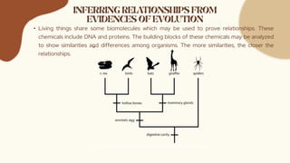 • Living things share some biomolecules which may be used to prove relationships. These
chemicals include DNA and proteins. The building blocks of these chemicals may be analyzed
to show similarities and differences among organisms. The more similarities, the closer the
relationships.
 