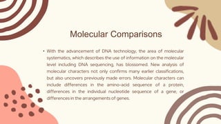 Molecular Comparisons
• With the advancement of DNA technology, the area of molecular
systematics, which describes the use of information on the molecular
level including DNA sequencing, has blossomed. New analysis of
molecular characters not only confirms many earlier classifications,
but also uncovers previously made errors. Molecular characters can
include differences in the amino-acid sequence of a protein,
differences in the individual nucleotide sequence of a gene, or
differences in the arrangements of genes.
 