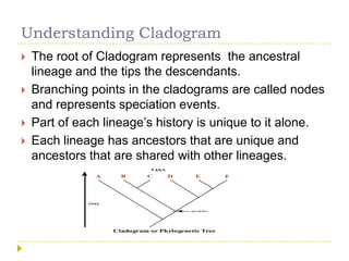 Evolutionary biology | PPTX