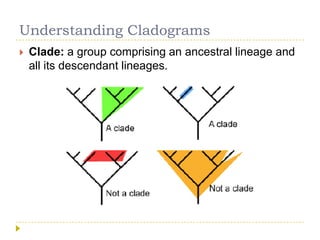Evolutionary biology | PPTX