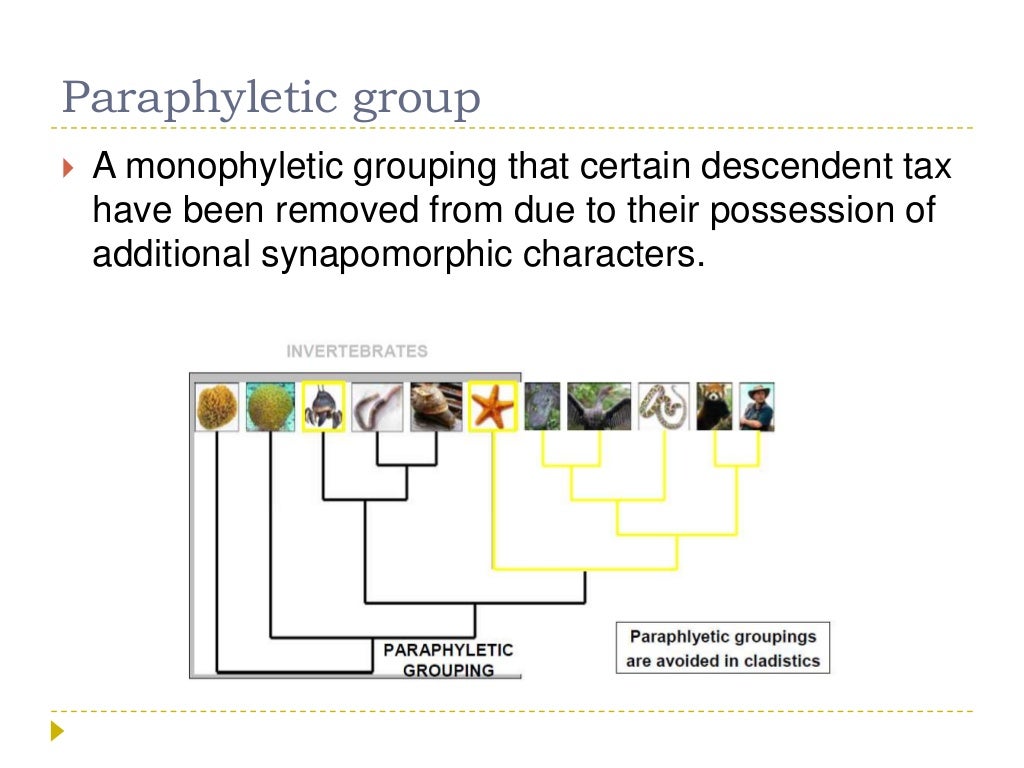 what is evolutionary biology what is evolutionary biology