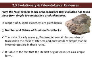 Evolutionary Biology: Based on CBCS (2019 Credit Pattern); Savitribai ...