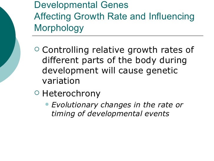 Evolutionary developmental biology