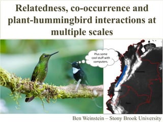 Relatedness, co-occurrence and
plant-hummingbird interactions at
multiple scales
Plus some
cool stuff with
computers.

Ben Weinstein – Stony Brook University

 