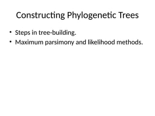 Constructing Phylogenetic Trees
• Steps in tree-building.
• Maximum parsimony and likelihood methods.
 