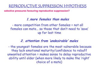 REPRODUCTIVE SUPPRESSION HYPOTHESIS
selective pressures favouring reproductive suppression?

1.more females than males
- more competition from other females = not all
females can mate… so those that don’t need to ‘save’
up for lost time

2. attention from ‘undesirable’ males
- the youngest females are the most vulnerable because
they lack emotional maturity/confidence to rebuff
unwanted attention = makes sense to delay reproductive
ability until older (when more likely to make the ‘right’
choice of a mate)

 