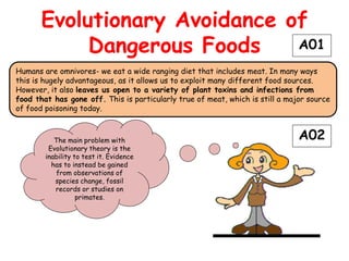 Evolutionary Avoidance of
            Dangerous Foods    A01
Humans are omnivores- we eat a wide ranging diet that includes meat. In many ways
this is hugely advantageous, as it allows us to exploit many different food sources.
However, it also leaves us open to a variety of plant toxins and infections from
food that has gone off. This is particularly true of meat, which is still a major source
of food poisoning today.



           The main problem with                                               A02
         Evolutionary theory is the
        inability to test it. Evidence
          has to instead be gained
            from observations of
           species change, fossil
           records or studies on
                   primates.
 