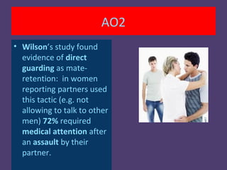 AO2
• Wilson’s study found
  evidence of direct
  guarding as mate-
  retention: in women
  reporting partners used
  this tactic (e.g. not
  allowing to talk to other
  men) 72% required
  medical attention after
  an assault by their
  partner.
 