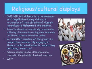 Religious/cultural displays
•   Self inflicted violence is not uncommon-
    self flagellation during Ashura. A
    recreation of the suffering of Hussein
    -grandson to Mohammed the prophet.
•   Some Shia Muslims symbolically recreate the
    suffering of Hussein by cutting their foreheads
    until blood streams from their bodies
•   A committed member of the group is a
    cooperative member. By engaging in
    these rituals an individual is cooperating
    and being committed.
•   Extreme displays such as this appears to
    contradict the principle of natural selection.
•   Why?
 