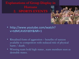 Explanations of Group Display in
           Humans
     2. SPORTS EVENTS



• http://www.youtube.com/watch?
  v=tdMCAV6Yd0Y&NR=1

• Ritualised form of aggression – benefits of success
  available to competitors with reduced risk of physical
  harm / death.
• Winning team hold high status , team members seen as
  desirable mates.
 