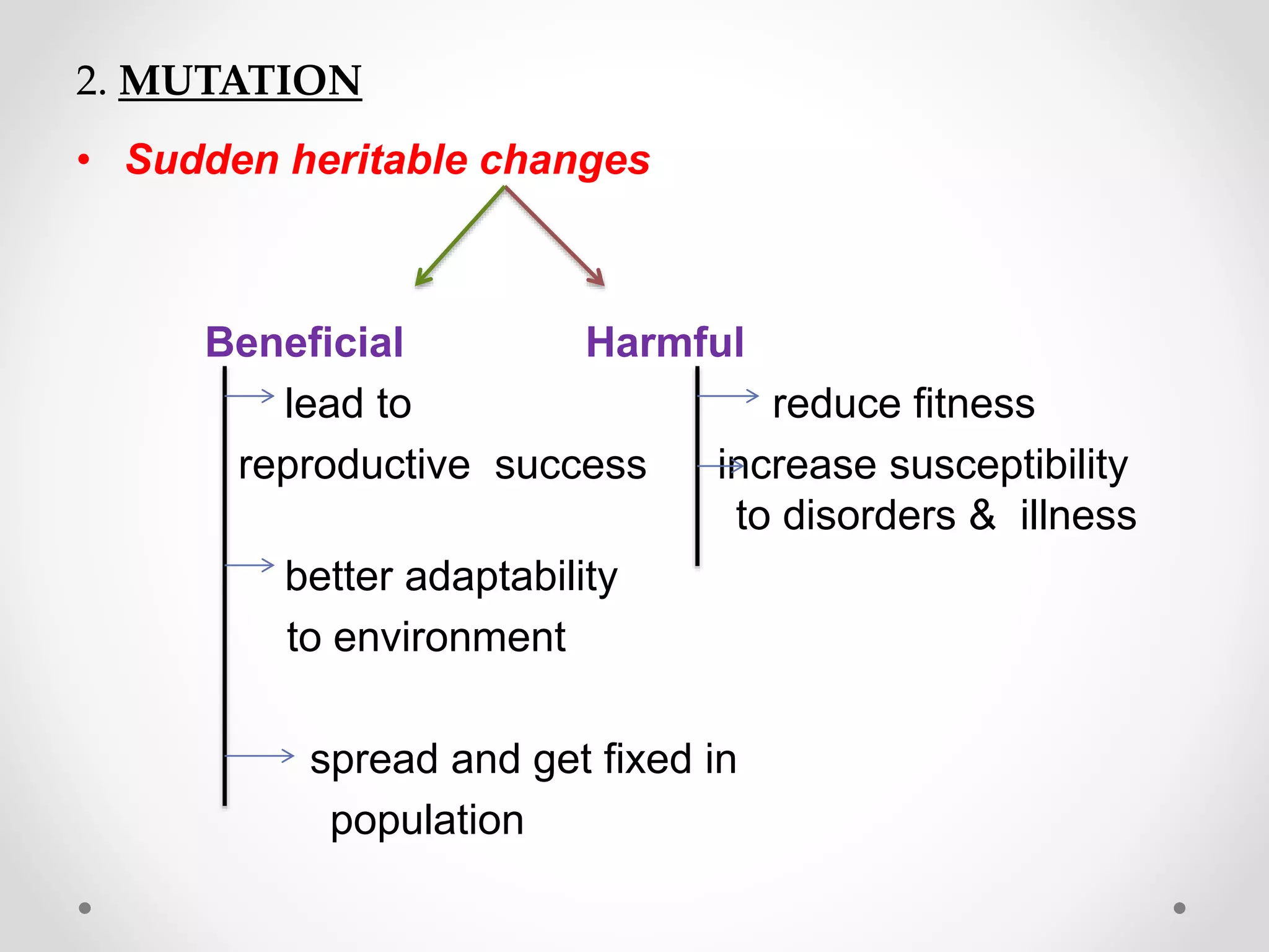 2. MUTATION
• Sudden heritable changes
Beneficial Harmful
lead to reduce fitness
reproductive success increase susceptibility
to disorders & illness
better adaptability
to environment
spread and get fixed in
population
 