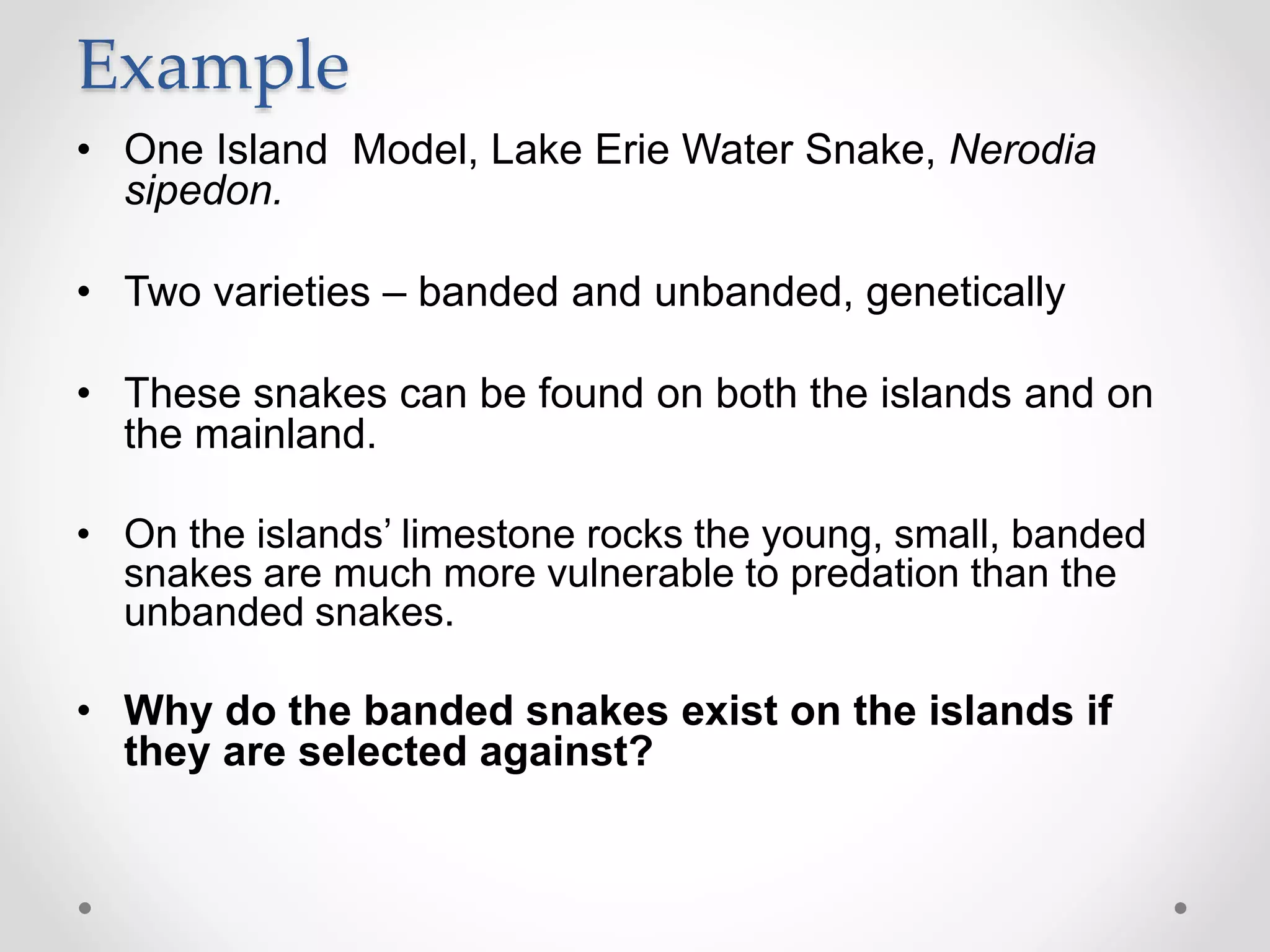Example
• One Island Model, Lake Erie Water Snake, Nerodia
sipedon.
• Two varieties – banded and unbanded, genetically
• These snakes can be found on both the islands and on
the mainland.
• On the islands’ limestone rocks the young, small, banded
snakes are much more vulnerable to predation than the
unbanded snakes.
• Why do the banded snakes exist on the islands if
they are selected against?
 