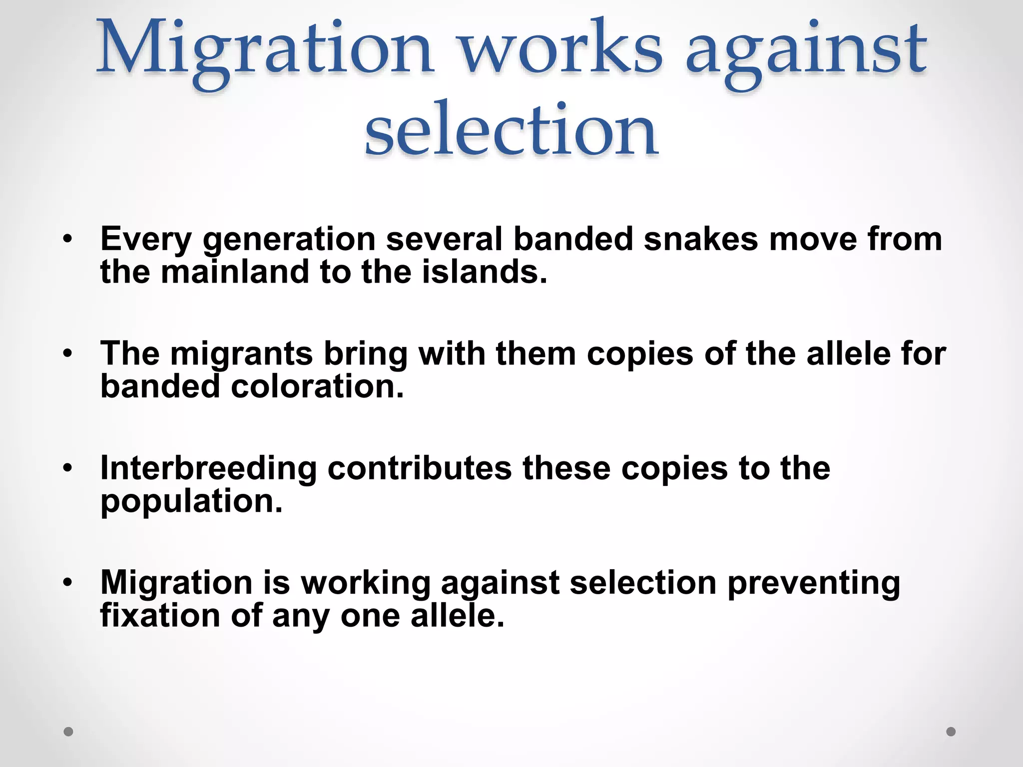 Migration works against
selection
• Every generation several banded snakes move from
the mainland to the islands.
• The migrants bring with them copies of the allele for
banded coloration.
• Interbreeding contributes these copies to the
population.
• Migration is working against selection preventing
fixation of any one allele.
 