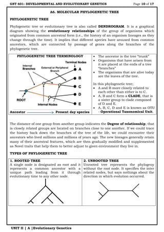 GNT 601: DEVELOPMENTAL AND EVOLUTIONARY GENETICS Page 10 of 17
UNIT II | A |Evolutionary Genetics
A6. MOLECULAR PHYLOGENETIC TREE
PHYLOGENETIC TREE
Phylogenetic tree or evolutionary tree is also called DENDROGRAM. It is a graphical
diagram showing the evolutionary relationships of the group of organisms which
originated from common ancestral form (i.e., the history of an organism lineages as they
change through the time). It implies that different species have aroused from common
ancestors, which are connected by passage of genes along the branches of the
phylogenetic tree.
PHYLOGENETIC TREE TERMINOLOGY
Ancestor Present day species
 The ancestor is the tree “trunk”
 Organisms that have arisen from
it are placed at the ends of a tree
“branches”
 The organisms that are alive today
are the leaves of the tree.
In this phylogenetic tree;
 A and B more closely related to
each other than either is to C.
 A, B and C form a CLADE, that is
a sister group to clade composed
of D and E.
 A, B, C, D and E is known as OTU
- Operational Taxonomical Unit.
The distance of one group from another group indicates the Degree of relationship; that
is closely related groups are located on branches close to one another. If we could trace
the history back down the branches of the tree of the life, we could encounter their
ancestors who lived millions and millions of years ago. The new lineages generally retain
many of their ancestral features, which are then gradually modified and supplemented
as Novel traits that help them to better adjust to given environment they live in.
TYPES OF PHYLOGENETIC TREE
1. ROOTED TREE
A single node is designated as root and it
represents a common ancestor with a
unique path leading from it through
evolutionary time to any other node.
2. UNROOTED TREE
Unrooted tree represents the phylogeny
without the root node. It specifies the inter
related nodes, but says nothings about the
direction in which evolution occurred.
 