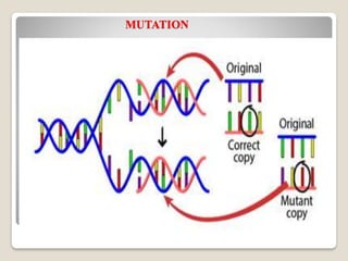 Evolutionary Genetics | PDF