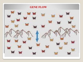 Evolutionary Genetics | PDF