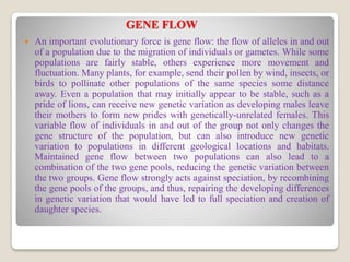 Evolutionary Genetics | PDF