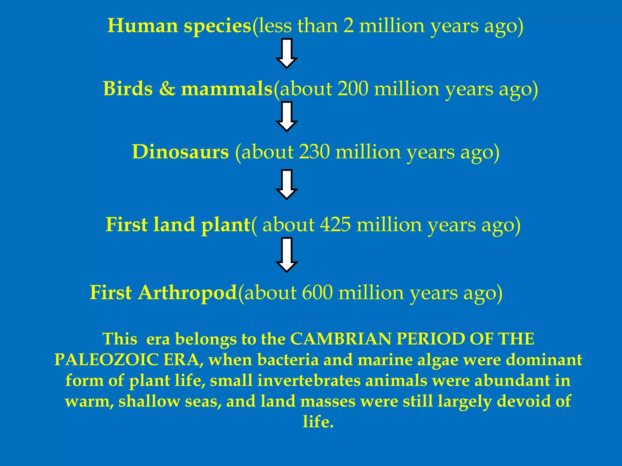 Evolutionary history of insects | PPTX