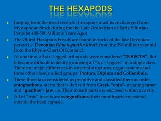 ♠ Judging from the fossil records , hexapods must have diverged from
Myriapodan Stock during the the Late Ordovician or Early Siliurian
Periods( 400-500 Millions Years Ago).
♠ The Oldest Hexapods Fossils are found in rocks of the late Devonian
period i.e. Devonian Rhyniognatha hirsti, from the 396 million year old
from the Rhynie Chert Of Scotland.
♠ At one time, all six- legged arthopods were considered “INSECTS”. But
it become difficult to justify grouping all “six – leggers” in a single class.
There are major differences in external structures, organ systems and
three other closely allied groups: Protura, Diplura and Collembola.
♠ These three taxa considered as primitive and classified them as order
entognathous, aterm that is derived from Greek “ento”- meaning inner
and “gnathos”- jaw, i.e. Their mouth parts are enclosed within a cavity.
♠ All of “true” insects are ectognathous: their mouthparts are extend
outside the head capusle.
 