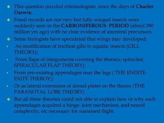  This question puzzled entomologists since the days of Charles
Darwin.
 Fossil records are not very but fully winged insects were
suddenly seen in the CARBONIFEROUS PERIOD (about 380
million yrs ago) with no clear evidence of ancestral precursors.
 Some biologists have speculated that wings may developed:
• As modification of tracheal gills in aquatic insects (GILL
THEORY);
• From flaps of integuments covering the thoracic spiracles(
SPIRACULAR FLAP THEORY);
• From pre-existing appendages near the legs ( THE ENDITE-
EXITE THEROY);
• Or as lateral extensions of dorsal plates on the thorax (THE
PARANOTAL LOBE THEORY).
 But all these theories could not able to explain how or why such
appendages acquired a hinge- joint mechanism, and neural
complexity, etc necessary for sustained flight.
 