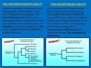 THE ORTHROPTEROID GROUP THE HEMIPTEROID GROUP
The Hemipteroid Complex arose
from a common ancestors during
the CARBONIFEROUS PERIOD,
around 290 mya. Adaptive radiation
within this lineage eventually led to
the evolution of two sisters groups
(clad.5.)one giving rise to
Psocoptera & Phthiraptera; the
others including- Thysanoptera &
Hemiptera.
There is extensive controversy over
phylogenetic relationships within
The Orthropteroid Complex. The
First Orthropteroid Insects were
scavengers and/or herbivores. They
are regarded as the earliest group of
Neoptera. It probably dates from the
early CARBONIFEROUS PERIOD,
around 360 mya.
 