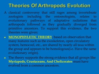 A classical controversy that still rages among invertebrate
zoologists including the entomologists, relates to
evolutionary pathways of adaptative radiations that
arthropods followed as they gradually diverged from
primitive ancestors. To support this evidence, the two
theories were given:
 MONOPHYLETIC THEORY; based on observation that
many features such as the exoskeleton, open circulatory
system, hemocoel, etc., are shared by nearly all taxa within
the group and appears to be homologous(i.e. Have the same
evolutionary origin).
 The theory supports the strong evidence that all groups like
Myriapods, Crustaceans, And Chelicerates must have
evolved from a common ancestors.
 