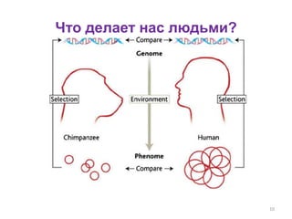 Что делает нас людьми?
10
 