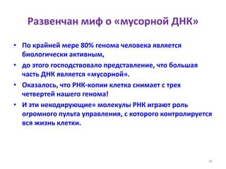 Развенчан миф о «мусорной ДНК»
• По крайней мере 80% генома человека является
биологически активным,
• до этого господствовало представление, что большая
часть ДНК является «мусорной».
• Оказалось, что РНК-копии клетка снимает с трех
четвертей нашего генома!
• И эти некодирующие» молекулы РНК играют роль
огромного пульта управления, с которого контролируется
вся жизнь клетки.
30
 
