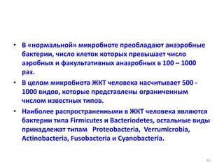 • В «нормальной» микробиоте преобладают анаэробные
бактерии, число клеток которых превышает число
аэробных и факультативных анаэробных в 100 – 1000
раз.
• В целом микробиота ЖКТ человека насчитывает 500 -
1000 видов, которые представлены ограниченным
числом известных типов.
• Наиболее распространенными в ЖКТ человека являются
бактерии типа Firmicutes и Bacteriodetes, остальные виды
принадлежат типам Proteobacteria, Verrumicrobia,
Actinobacteria, Fusobacteria и Cyanobacteria.
61
 