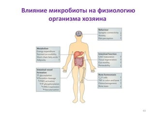 Влияние микробиоты на физиологию
организма хозяина
63
 