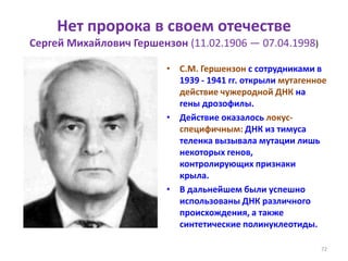 Нет пророка в своем отечестве
Сергей Михайлович Гершензон (11.02.1906 — 07.04.1998)
• С.М. Гершензон с сотрудниками в
1939 - 1941 гг. открыли мутагенное
действие чужеродной ДНК на
гены дрозофилы.
• Действие оказалось локус-
специфичным: ДНК из тимуса
теленка вызывала мутации лишь
некоторых генов,
контролирующих признаки
крыла.
• В дальнейшем были успешно
использованы ДНК различного
происхождения, а также
синтетические полинуклеотиды.
72
 