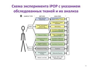 Схема эксперимента iPOP с указанием
обследованных тканей и их анализа
78
 